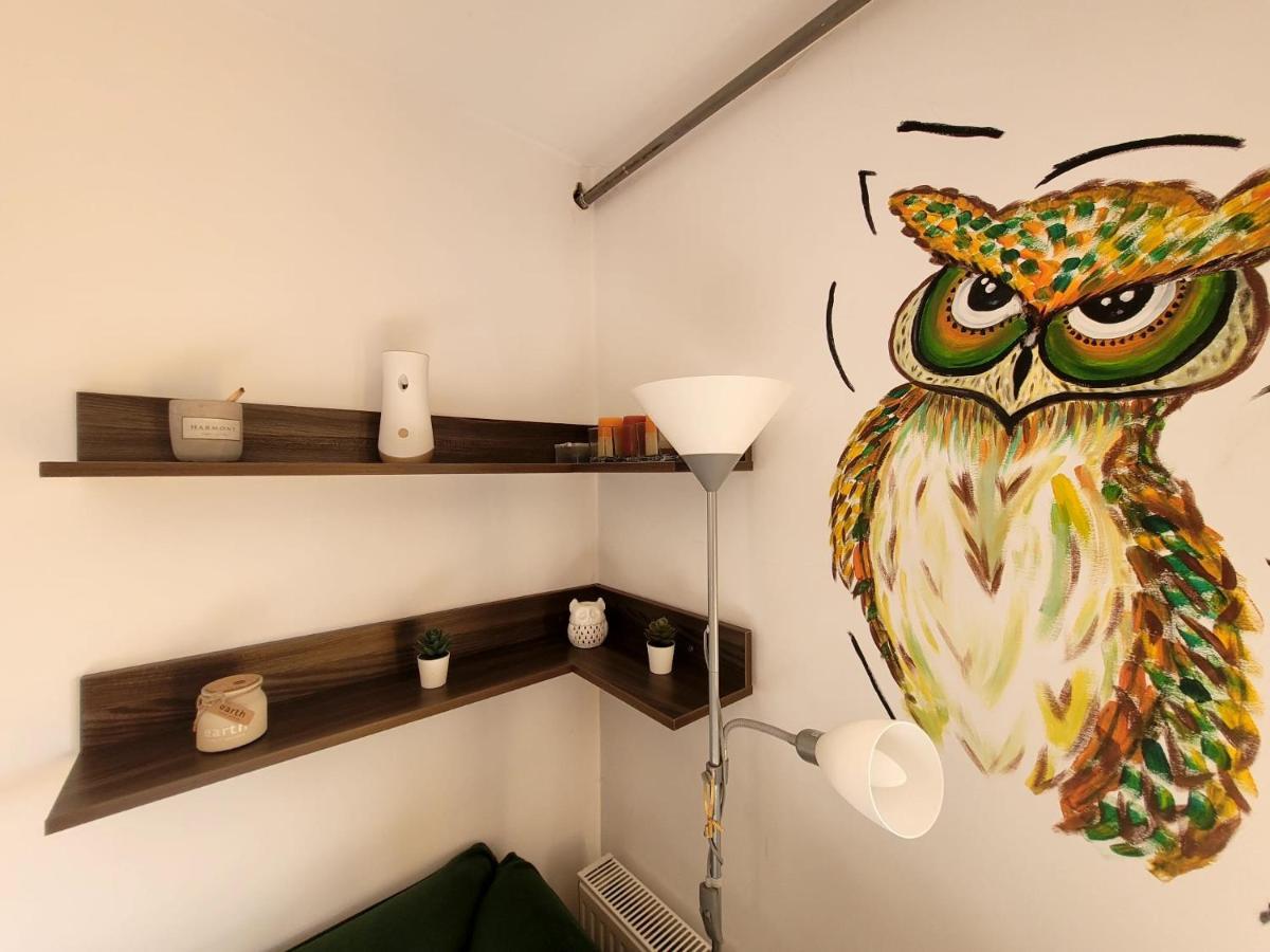 Dds Apartment Μπρασόβ Εξωτερικό φωτογραφία